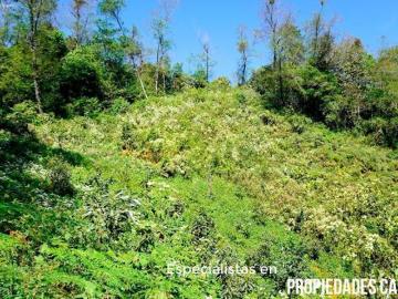 Paraíso Natural de 9.8 Hectáreas con Manantiales