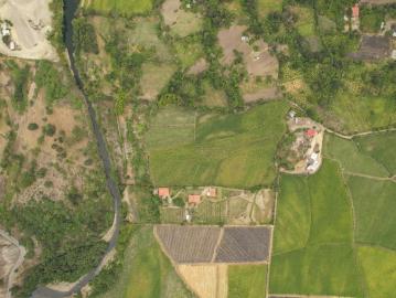 Paraíso de Permacultura: Finca Ecológica de Café en Quinara