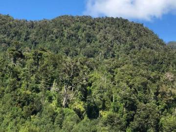 Parcela o Chacra en Venta en Aysén