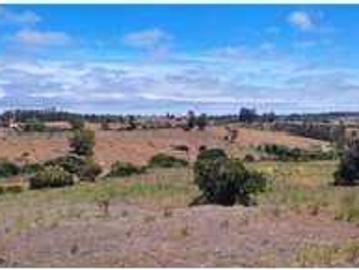 Parcela o Chacra en Venta en Algarrobo