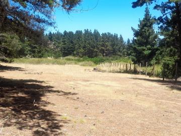 Parcela o Chacra en Venta en Algarrobo