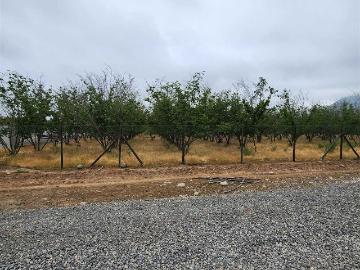Parcela o Chacra en Venta en Curicó