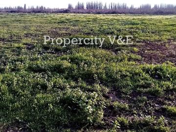 Parcela o Chacra en Venta en Colina