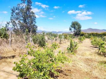 Parcela o Chacra en Venta en Coquimbo 4 dormitorios 2 baños