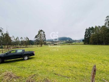 Parcela o Chacra en Venta en Futrono