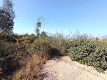 Parcela o Chacra en Venta en Limache