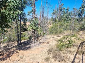 Parcela o Chacra en Venta en Limache