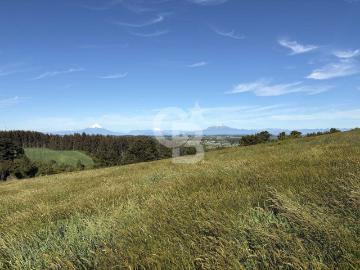 Parcela o Chacra en Venta en Llanquihue