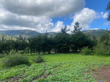 Parcela o Chacra en Venta en Puchuncaví