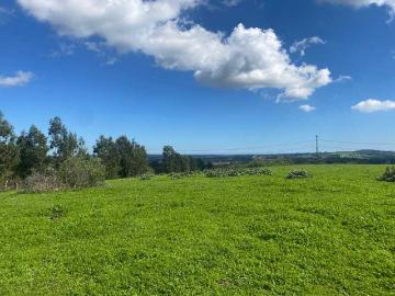 Parcela o Chacra en Venta en Puchuncaví