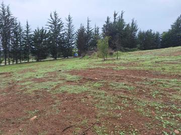 Parcela o Chacra en Venta en Puchuncaví