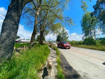 Propiedad industrial en Venta en Puerto Montt