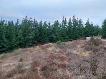 Parcela o Chacra en Venta en Pichilemu 2 dormitorios 1 baño