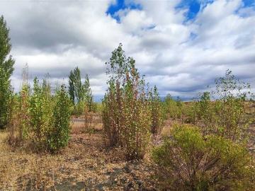 Parcela o Chacra en Venta en Yungay