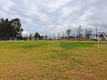 Parcela o Chacra en Venta en Zapallar 5 dormitorios 2 baños