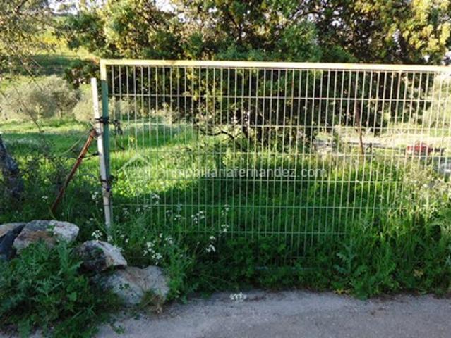 Parcela a 500 metros de Sierra de Fuentes