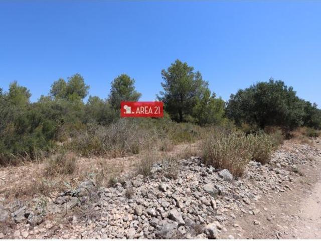 PARCELA AGRARIA CERCANA A LA POBLA DE VALLBONA CASABLANCA