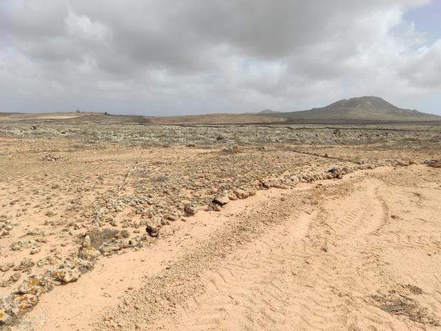 Parcela Agrícola de 3.633 m2 en Lajares Finca Rosa Vieja