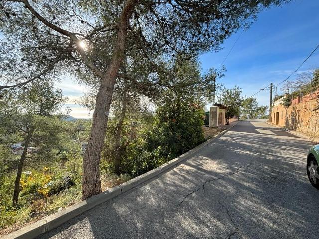 Parcela con Vistas en Can Suria