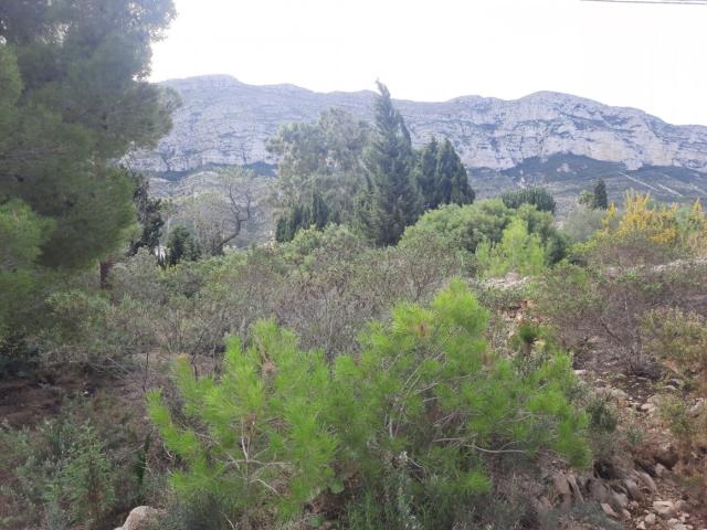 Parcela con vistas en galeretes