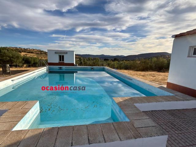 PARCELA CON VIVIENDA, PISCINA Y OLIVOS