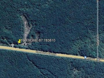 PARCELA CON CENOTE EN FELIPE CARRILLO PUERTO