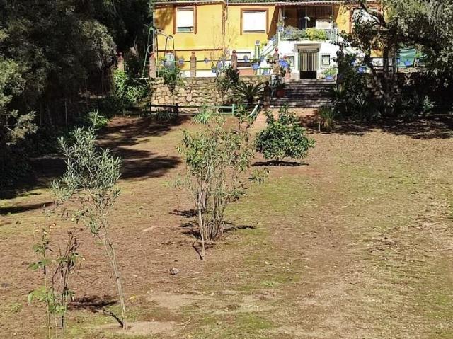Parcela con chalet y piscina en el Jardinito