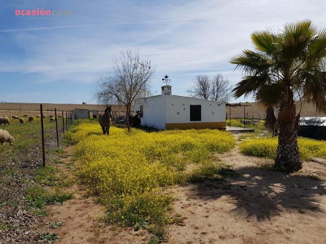 PARCELA CON PEQUEÑA CASA Y POZO