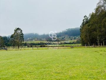 Parcela de Agrado en Venta en Futrono