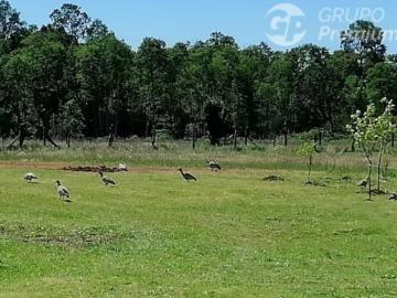 Parcela de Agrado en Venta en La Unión