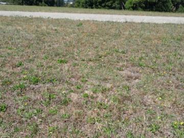 Parcela de Agrado en Venta en La Unión