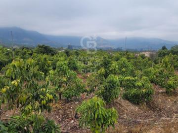 Parcela de Agrado en Venta en La Cruz