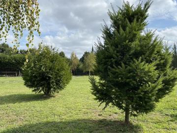 Parcela de Agrado en Venta en Los Angeles