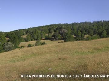 Parcela de Agrado en Venta en Los Lagos