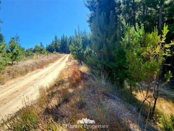 Parcela de Agrado en Venta en Pichilemu