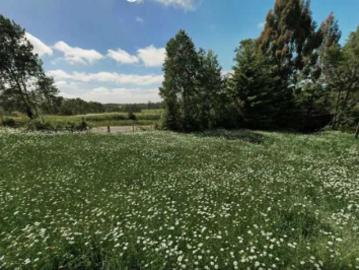 Parcela de Agrado en Venta en Río Negro