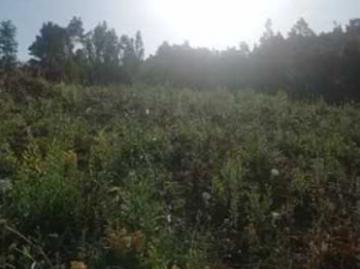 Parcela de Agrado en Venta en Santa Juana