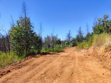Parcela de Agrado en Venta en Santa Juana