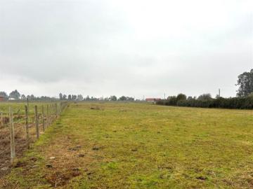 Parcela de Agrado en Venta en San Clemente