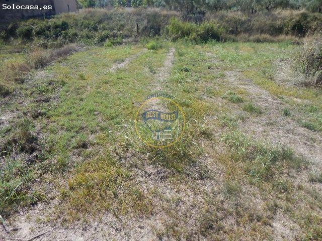 PARCELA DE REGADÍO PROXIMA A LA POBLACION DE ONTINYENT