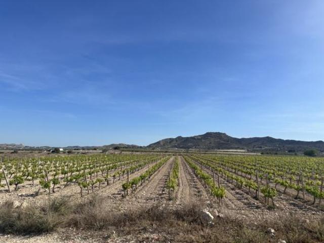 Parcela de terreno