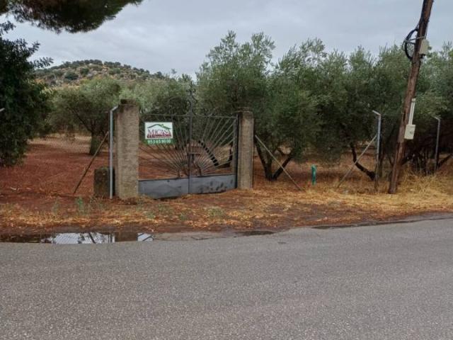 PARCELA DE TERRENO LA GARZA
