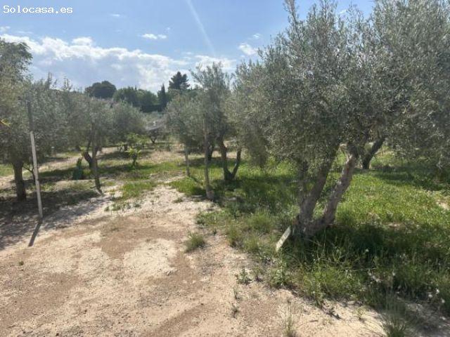 Parcela de terreno Rural cercana al casco urbano