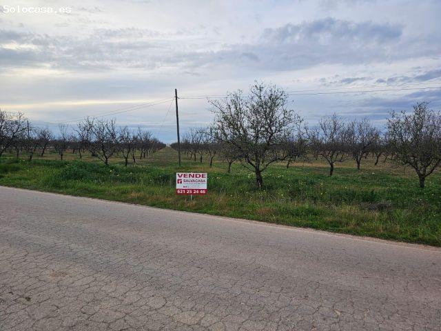 PARCELA DE TERRENO RUSTICO