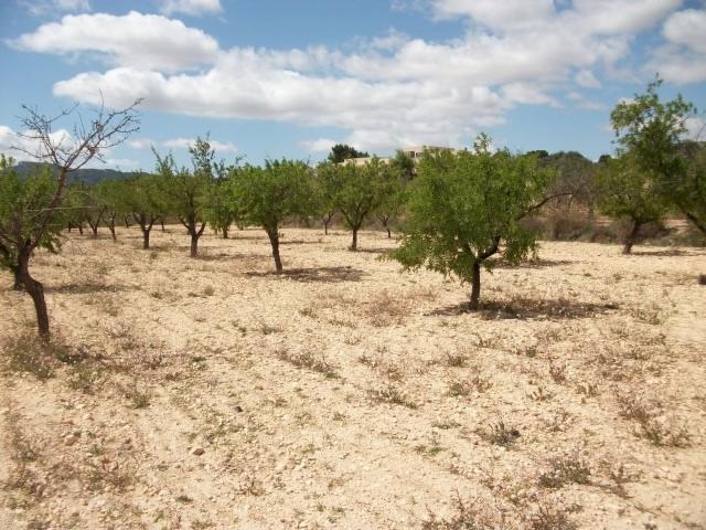 Parcela de terreno rustico