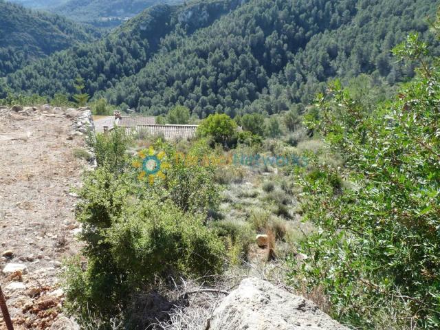 Parcela de venta en Oliva