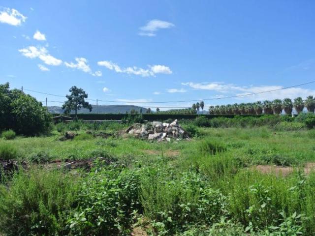 Parcela de 15.000 m2 al lado del núcleo urbano de Dénia