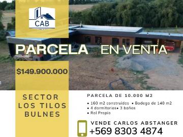 Parcela de 10.000m2 en bulnes, sector los tilos