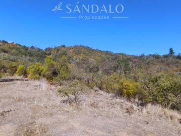 TU PROYECTO COMIENZA EN SANTA MARÍA DE LOS QUILLAYES