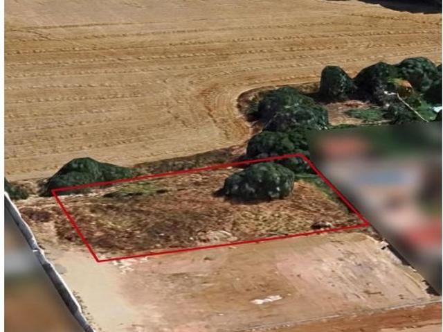 Parcela de 1.000 m2 segregada en la zona de El Sotillo